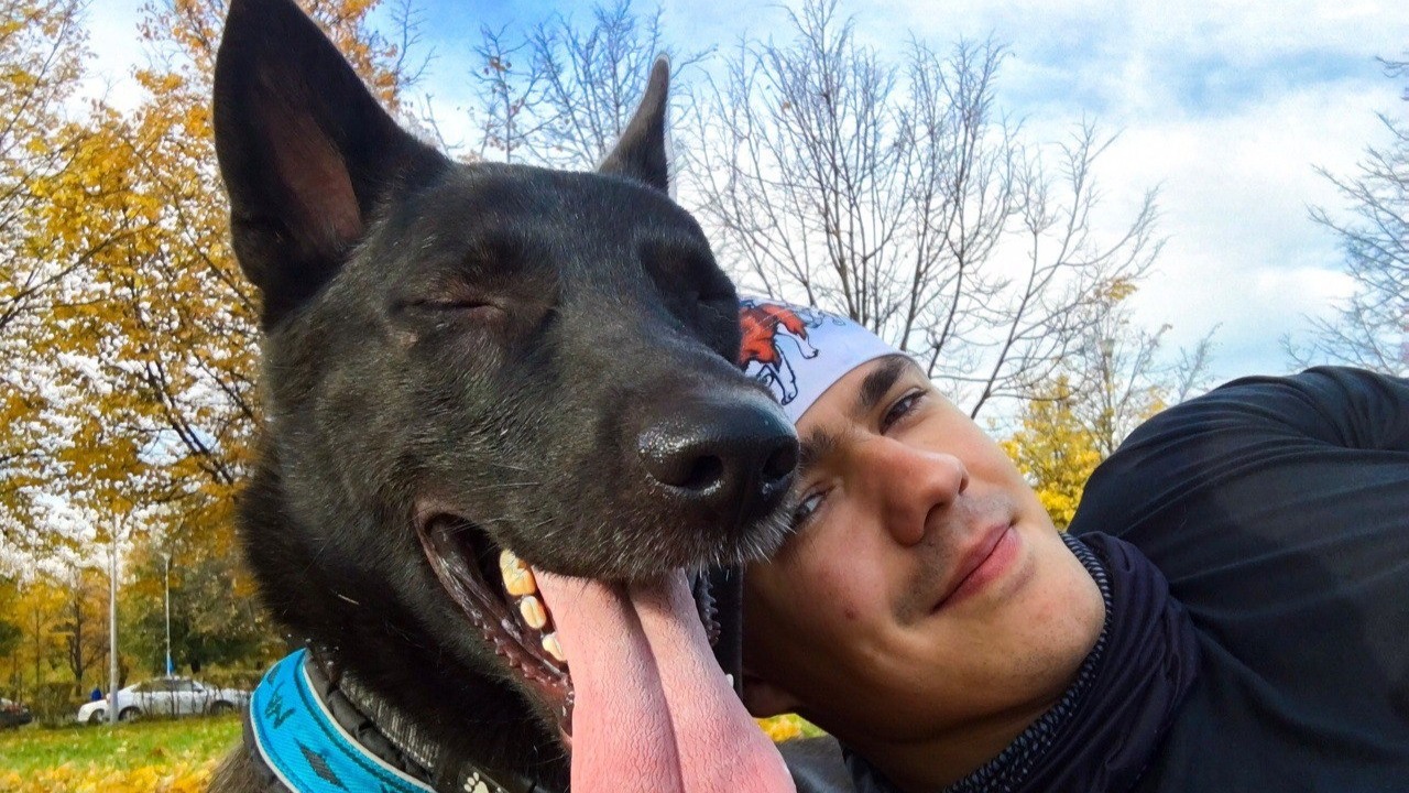 Суперфиналист «Лидеров России» запускает новую социальную сеть для любителей и владельцев собак